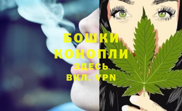 дмт Аркадак