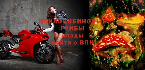дмт Аркадак